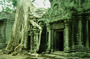 cambodia - angkor wat.jpg